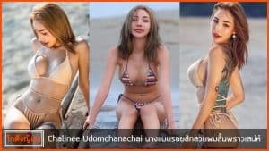ปก